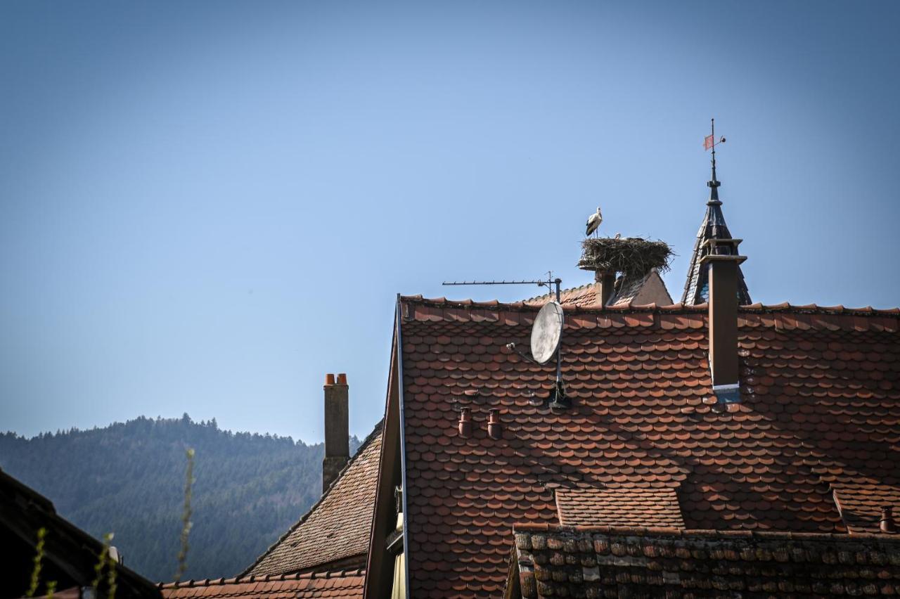 Le Hameau D'Eguisheim - Chambres D'Hotes & Gites Exterior foto
